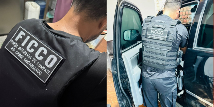 Operação investiga servidores públicos suspeitos de falsificar documentos no Pará | Pará