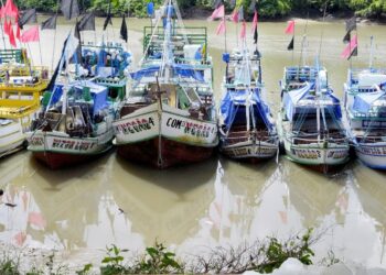 Os mestres que escrevem sobre as águas: campanha fortalece abridores de letras da Amazônia | Pará