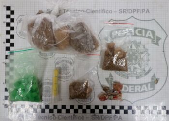 PF prende quatro pessoas em operação contra envio de ecstasy de SC ao PA | Pará
