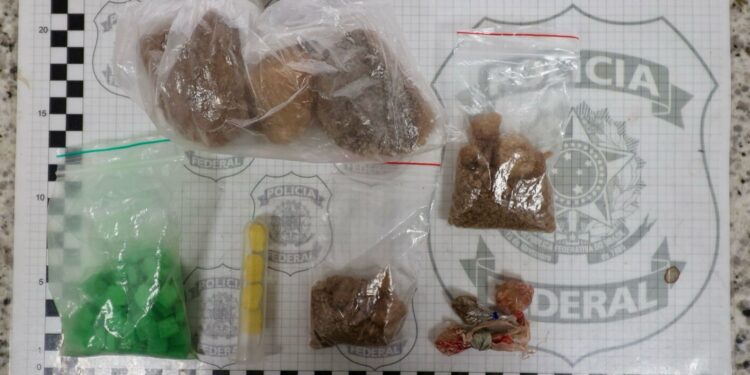 PF prende quatro pessoas em operação contra envio de ecstasy de SC ao PA | Pará