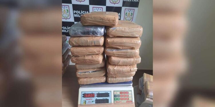 PM apreende 47 quilos de 'supermaconha' durante fiscalização no porto de Juruti | Polícia