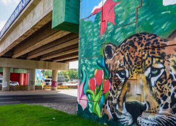 Pinturas dos novos viadutos entregues pelo Governo do Estado exaltam fauna e flora amazônica | Pará