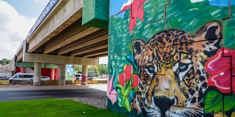 Pinturas dos novos viadutos entregues pelo Governo do Estado exaltam fauna e flora amazônica | Pará