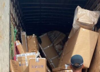 Polícia apreende cerca de 130 quilos de drogas vindas de Manaus com destino a Belém | Polícia