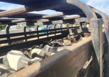 Sefa apreende 147 toneladas de soja e 75 cabeças de gado com irregularidades fiscais no Pará | Polícia