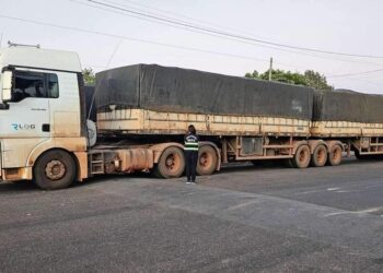 Sefa apreende 184 toneladas de soja em grãos e oito toneladas de ração | Pará