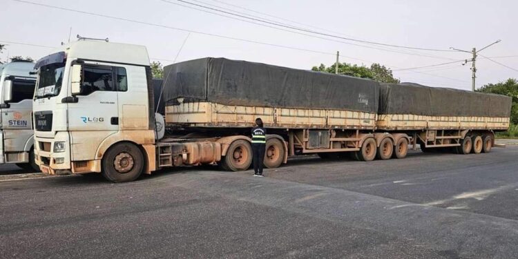 Sefa apreende 184 toneladas de soja em grãos e oito toneladas de ração | Pará