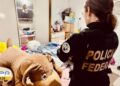Suspeitos são presos no Pará em Operação da Polícia Federal contra abuso sexual de crianças na internet