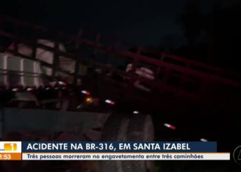 Três pessoas morrem em acidente na BR-316 no Pará | Pará