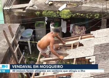 VÍDEOS: JL2 de segunda-feira, 5 de maio