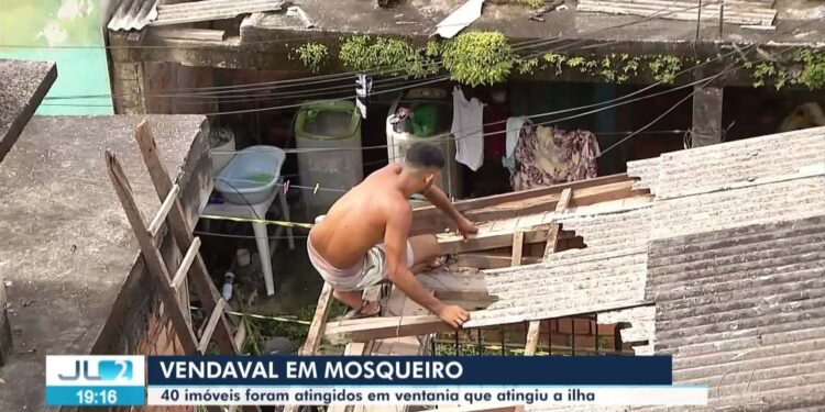 VÍDEOS: JL2 de segunda-feira, 5 de maio