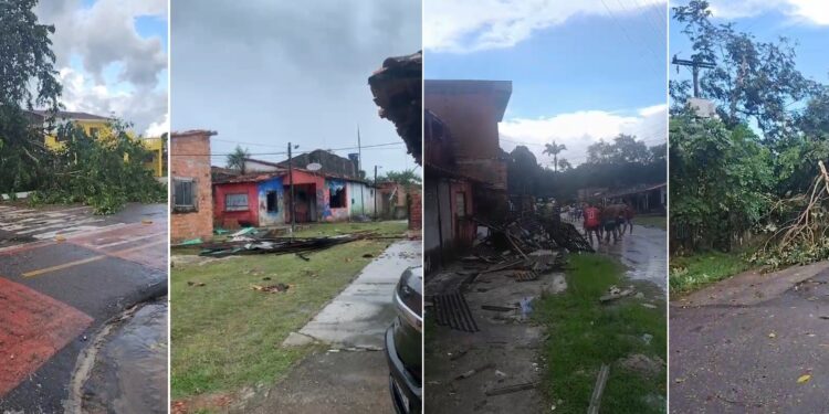 Vendaval destelha casas e deixa ruas sem energia elétrica em Mosqueiro