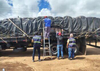 Carga com 16 toneladas de açaí é apreendida por irregularidade fiscal no nordeste do Pará | Pará