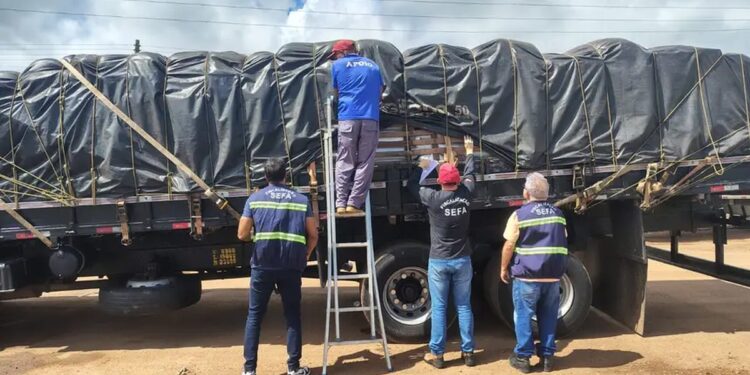 Carga com 16 toneladas de açaí é apreendida por irregularidade fiscal no nordeste do Pará | Pará