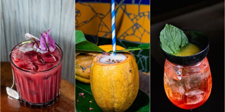 Circuito Amazônia Sour: drinks com ingredientes amazônicos surpreendem paladares em Belém até 27 de junho