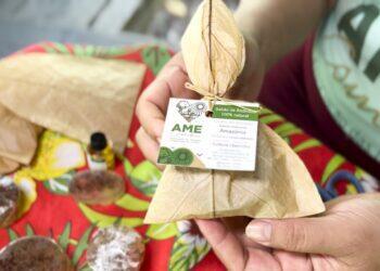 Comunidade ribeirinha encontra alternativa para combater poluição por plástico em rios da Amazônia | Pará