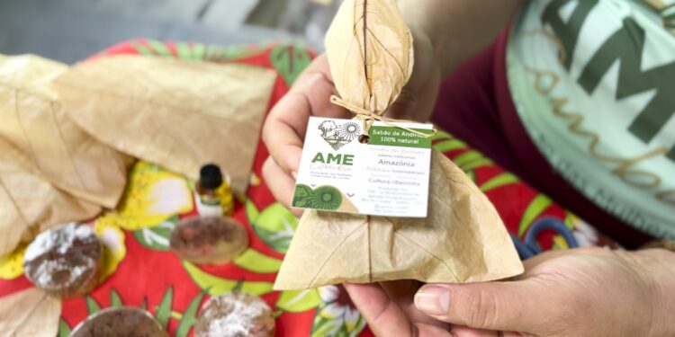 Comunidade ribeirinha encontra alternativa para combater poluição por plástico em rios da Amazônia | Pará