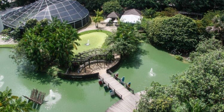 Corpus Christi: veja o que abre e o que fecha em Belém no 'feriadão'