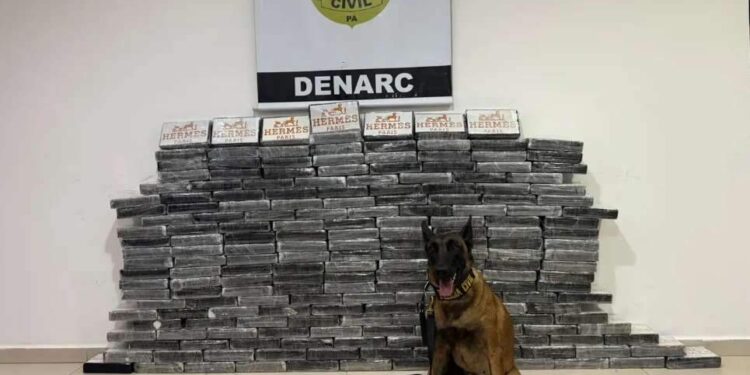 Dupla é presa e 200 tabletes de cocaína apreendidos em carga de milho em Marabá | Polícia