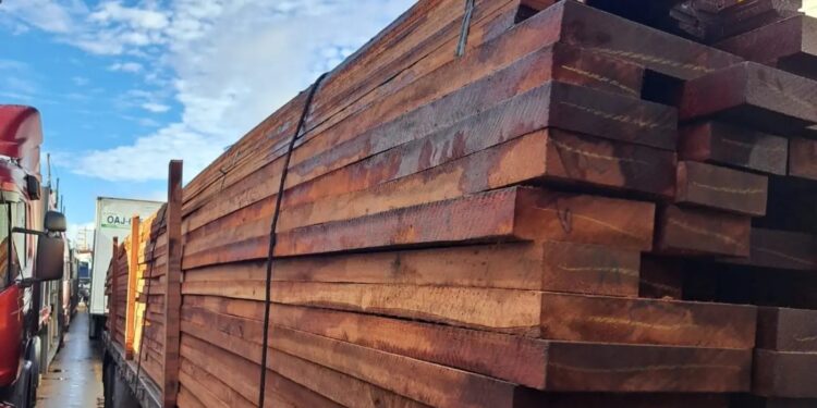 Fiscalização apreende mais de 24 metros cúbicos de madeira serrada em Breves, no Pará