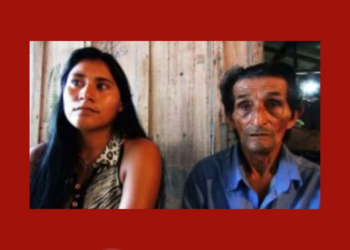 Fruticultura, cura e ancestralidade: liderança do Xingu vence depressão e transforma legado do avô no primeiro chocolate indígena da região | Pará