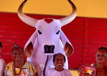 Fundação Palmares reconhece área do Boi Garantido como o primeiro quilombo de Parintins; entenda | Cultura