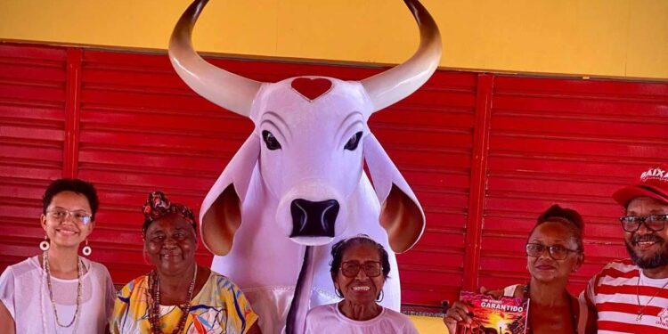 Fundação Palmares reconhece área do Boi Garantido como o primeiro quilombo de Parintins; entenda | Cultura