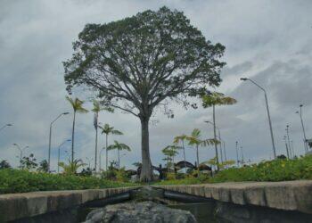 Governador Helder assina nova lei de responsabilidade ambiental no PA; entenda medida inédita no Brasil | Pará