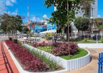 Governo do Pará retira os tapumes da Quadra H da Nova Tamandaré | Pará