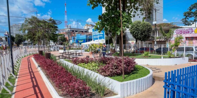 Governo do Pará retira os tapumes da Quadra H da Nova Tamandaré | Pará