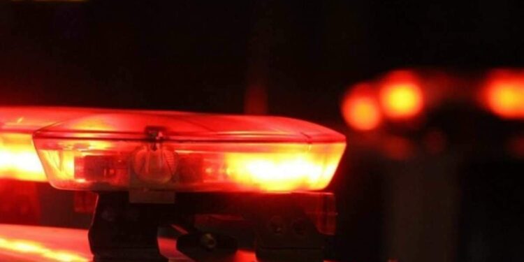 Homem condenado por roubo é preso durante operação, em Ananindeua | Polícia