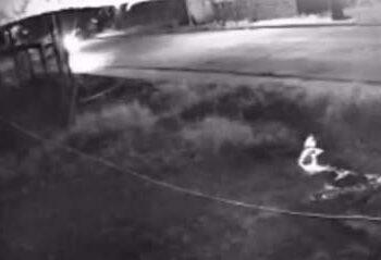 Homem é morto com mais de dez tiros em Medicilândia | Polícia