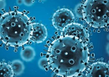 Transamazônica em alerta com avanço de doenças respiratórias e casos de meningite