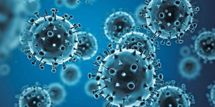 Transamazônica em alerta com avanço de doenças respiratórias e casos de meningite