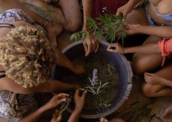 Justiça climática e sustentabilidade marcam o 2º Ciclo de Formação sobre Racismo Ambiental em Belém | Belém