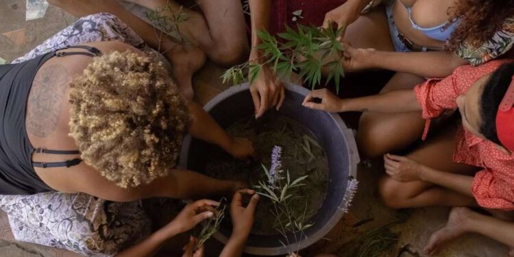 Justiça climática e sustentabilidade marcam o 2º Ciclo de Formação sobre Racismo Ambiental em Belém | Belém