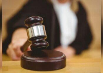 Justiça condena cinco pessoas por associação criminosa, desmatamentos  e invasão de terras públicas no Pará