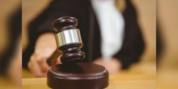 Justiça condena cinco pessoas por associação criminosa, desmatamentos  e invasão de terras públicas no Pará