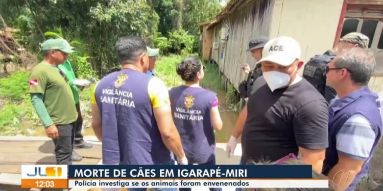 MP cobra ações da prefeitura de Igarapé Miri, no Pará, após chacina de cães na Vila Maiauatá