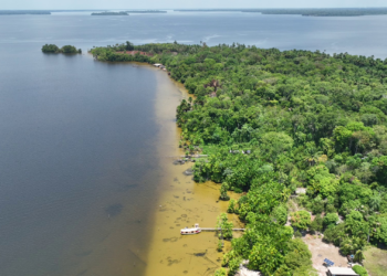 MPF pede anulação do contrato bilionário de créditos de carbono do Pará e multa de R$ 200 milhões | Pará