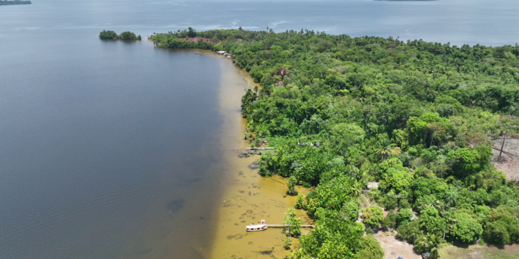 MPF pede anulação do contrato bilionário de créditos de carbono do Pará e multa de R$ 200 milhões | Pará