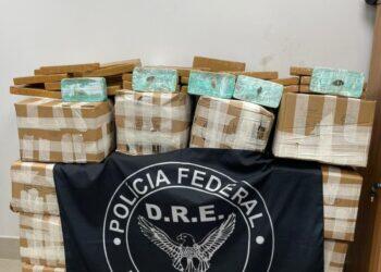 Mais de meia tonelada de drogas são apreendidas em caminhão em Castanhal, no Pará