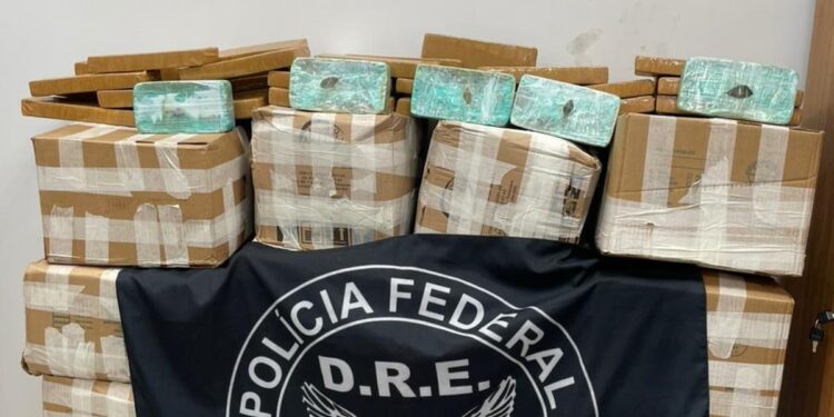 Mais de meia tonelada de drogas são apreendidas em caminhão em Castanhal, no Pará