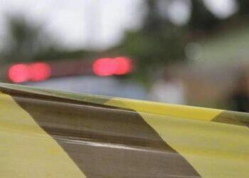 Motociclista morre após colidir com capivara na PA-154, no Marajó | Polícia