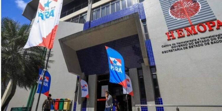 No Pará, mais de mil pacientes com doença falciforme são acompanhados pelo Hemopa | Pará