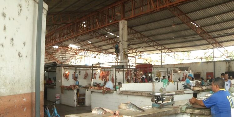 Obras da COP 30: veja projeto do Complexo do Barreiro em Belém