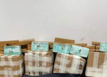 PF apreende mais de meia tonelada de skunk em caminhão no interior do Pará | Polícia