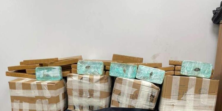 PF apreende mais de meia tonelada de skunk em caminhão no interior do Pará | Polícia