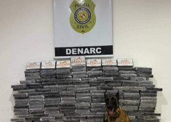 Polícia Civil apreende 200 tabletes de cocaína escondidos em carga de milho no Pará | Polícia