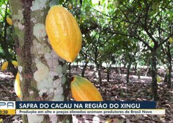 VÍDEOS: BDP de sexta-feira, 13 de junho de 2025